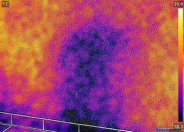 Thermographie - Aqua Control AG Bad Ragaz