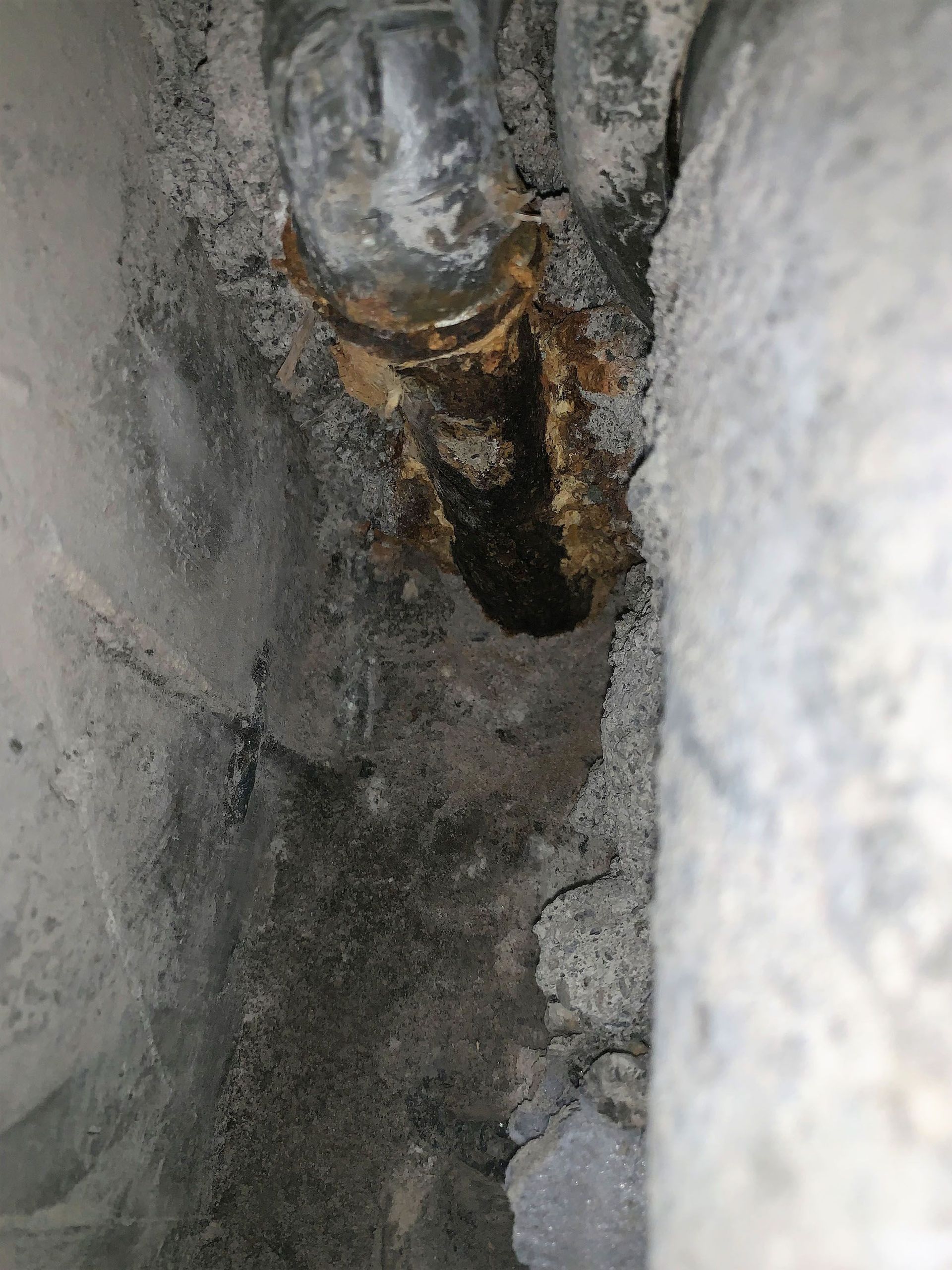 Freilegung - Aqua Control AG Bad Ragaz