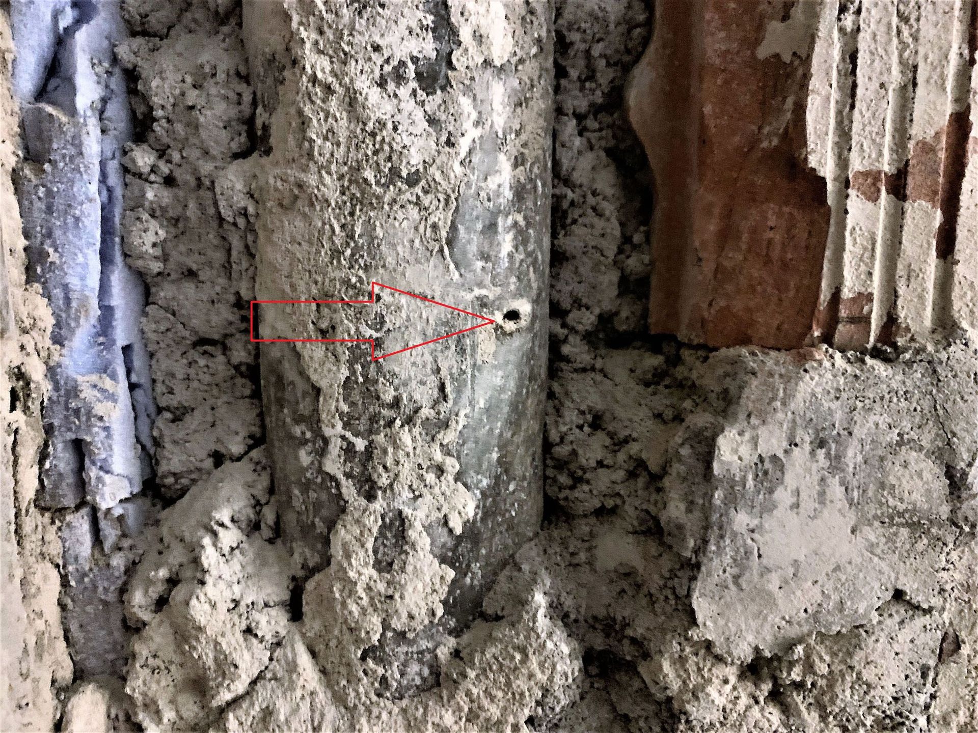 Freilegung - Aqua Control AG Bad Ragaz