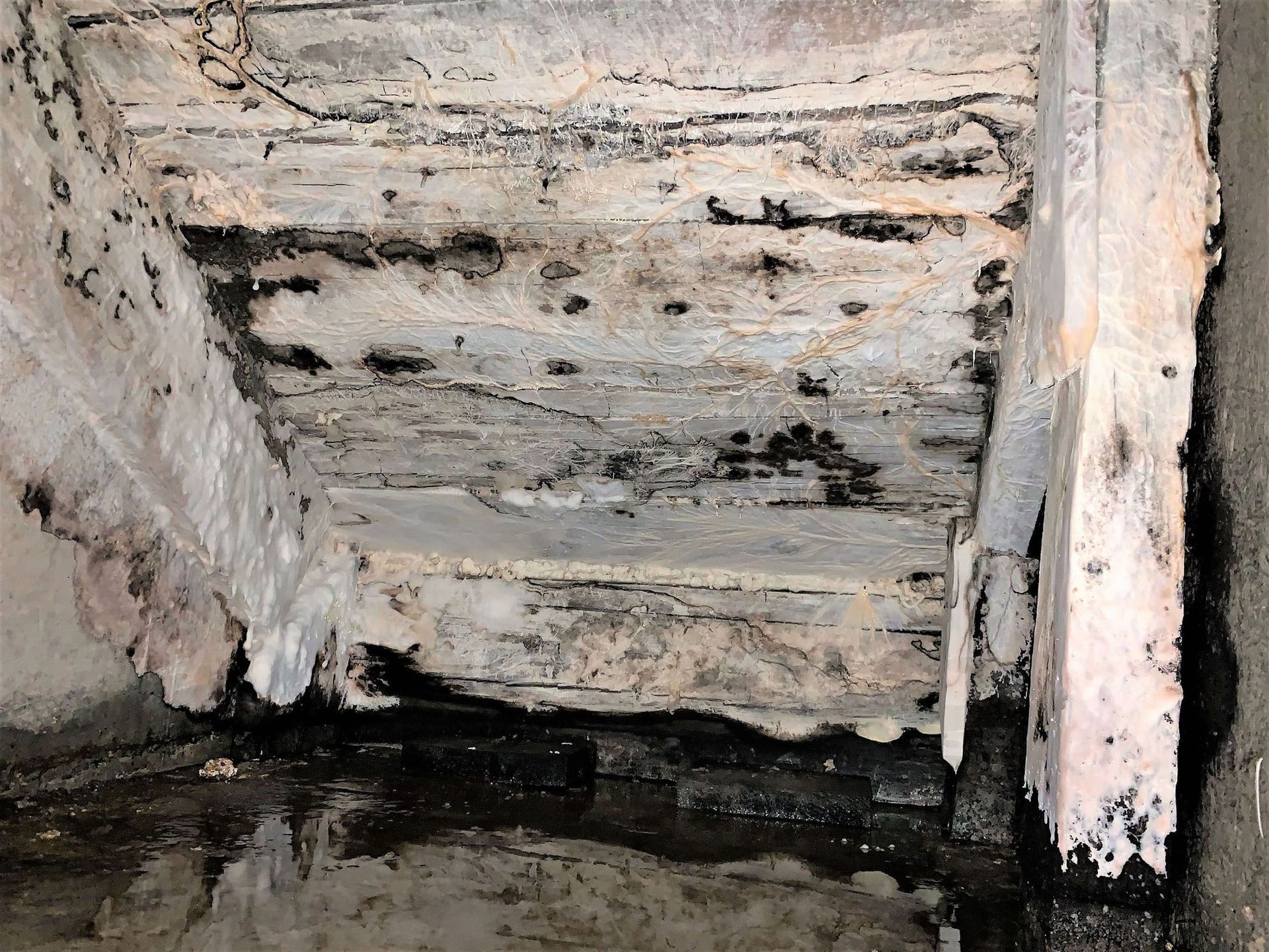 Aqua Control AG Bad Ragaz - Pilz