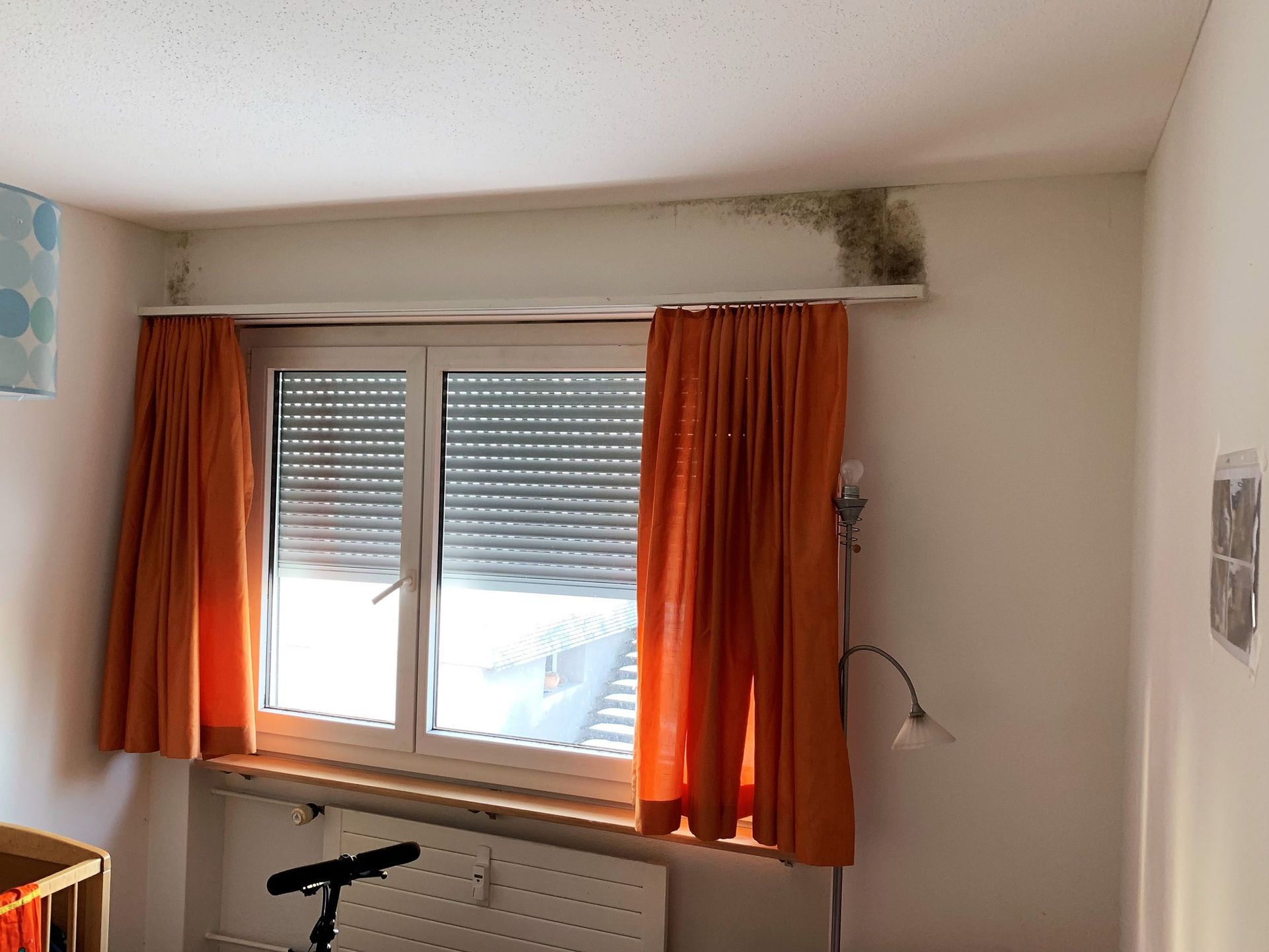 Aqua Control AG Bad Ragaz - Schimmel