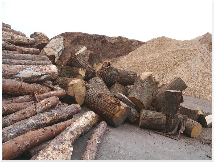 Valorisation du gros bois