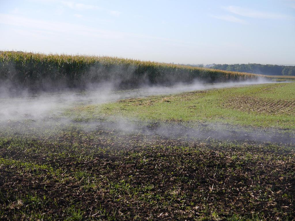 Compost dans un champ