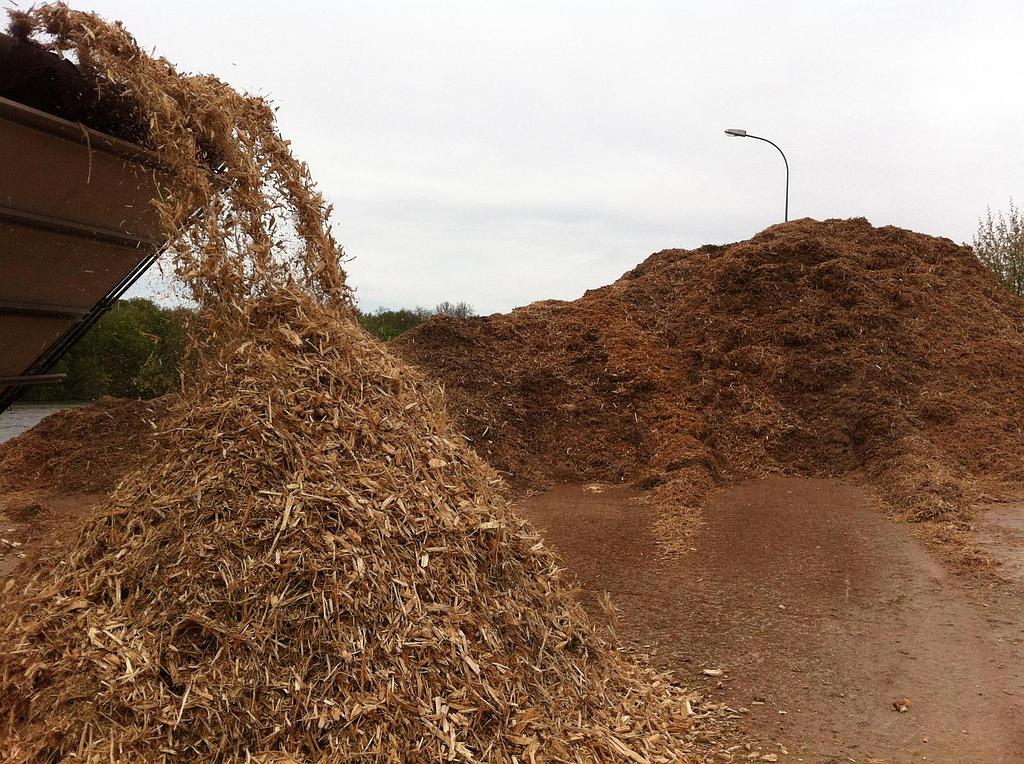 Paillage bois