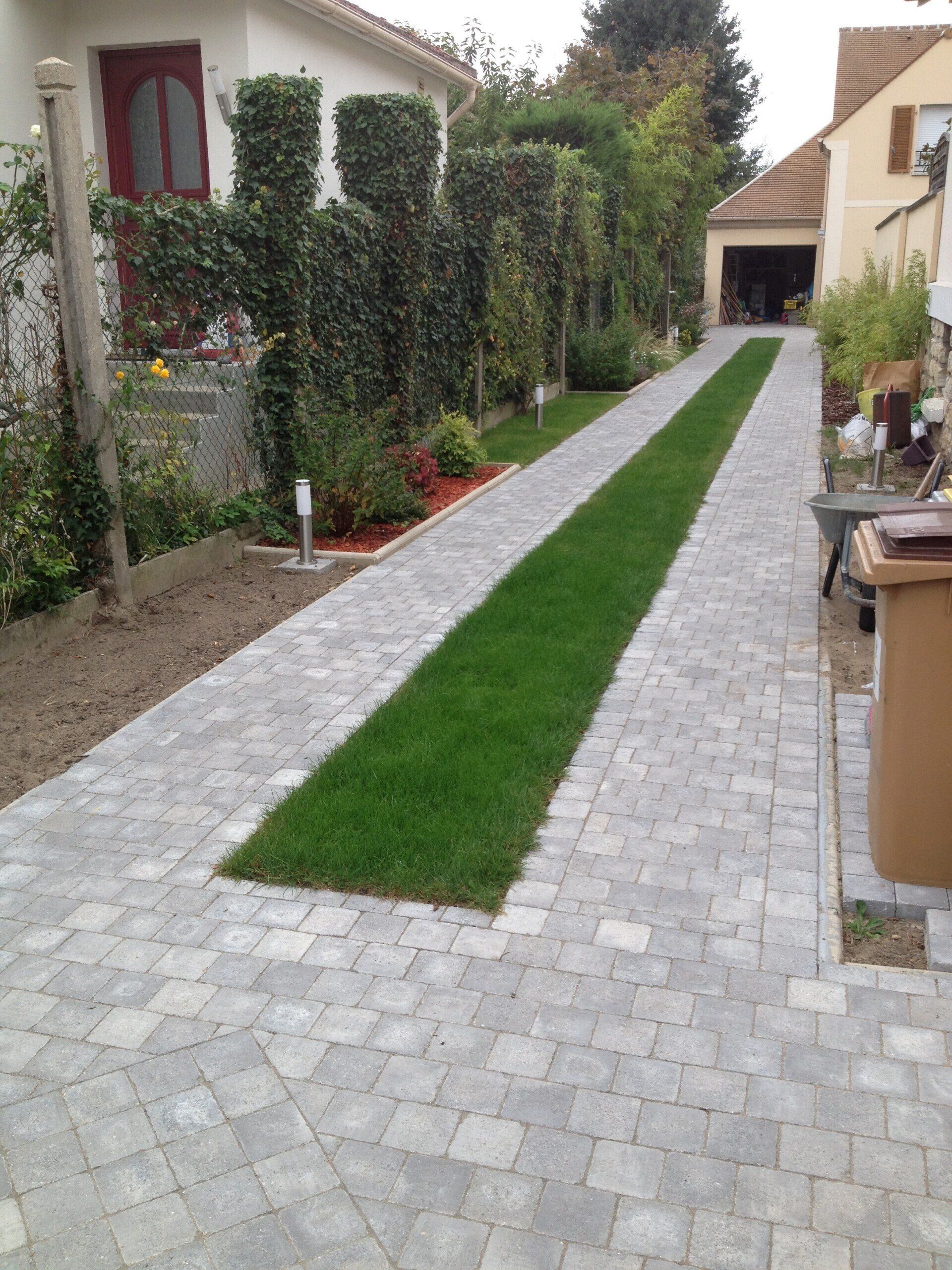 Engazonnement d'une allée