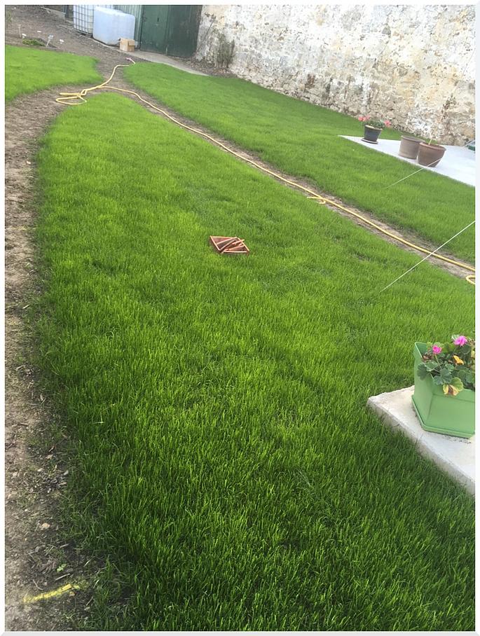 Zone de terre avec de l'herbe