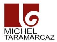 Michel-Taramarcaz_logo
