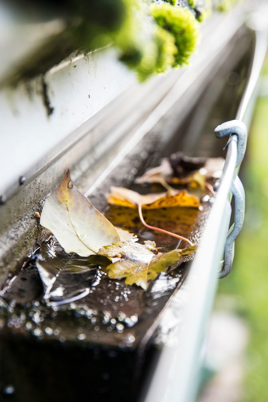 Gouttière remplie de feuilles et d'eau, gros plan, métal blanc, extérieur.