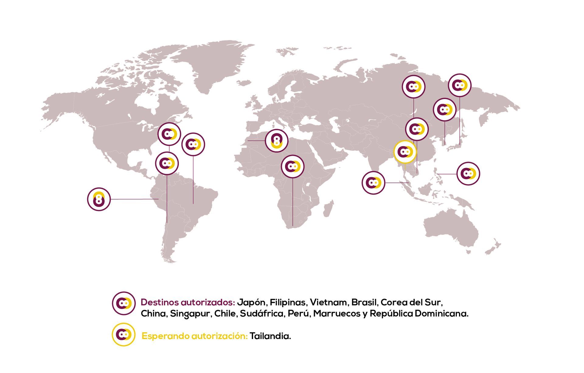Un mapa del mundo con alfileres que apuntan a diferentes países.