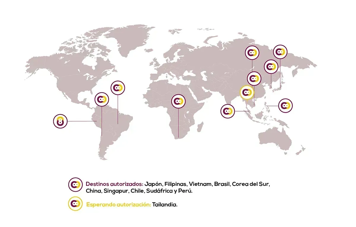 Un mapa del mundo con alfileres que apuntan a diferentes países.