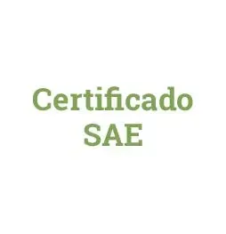 La palabra certificado está sobre un fondo blanco.