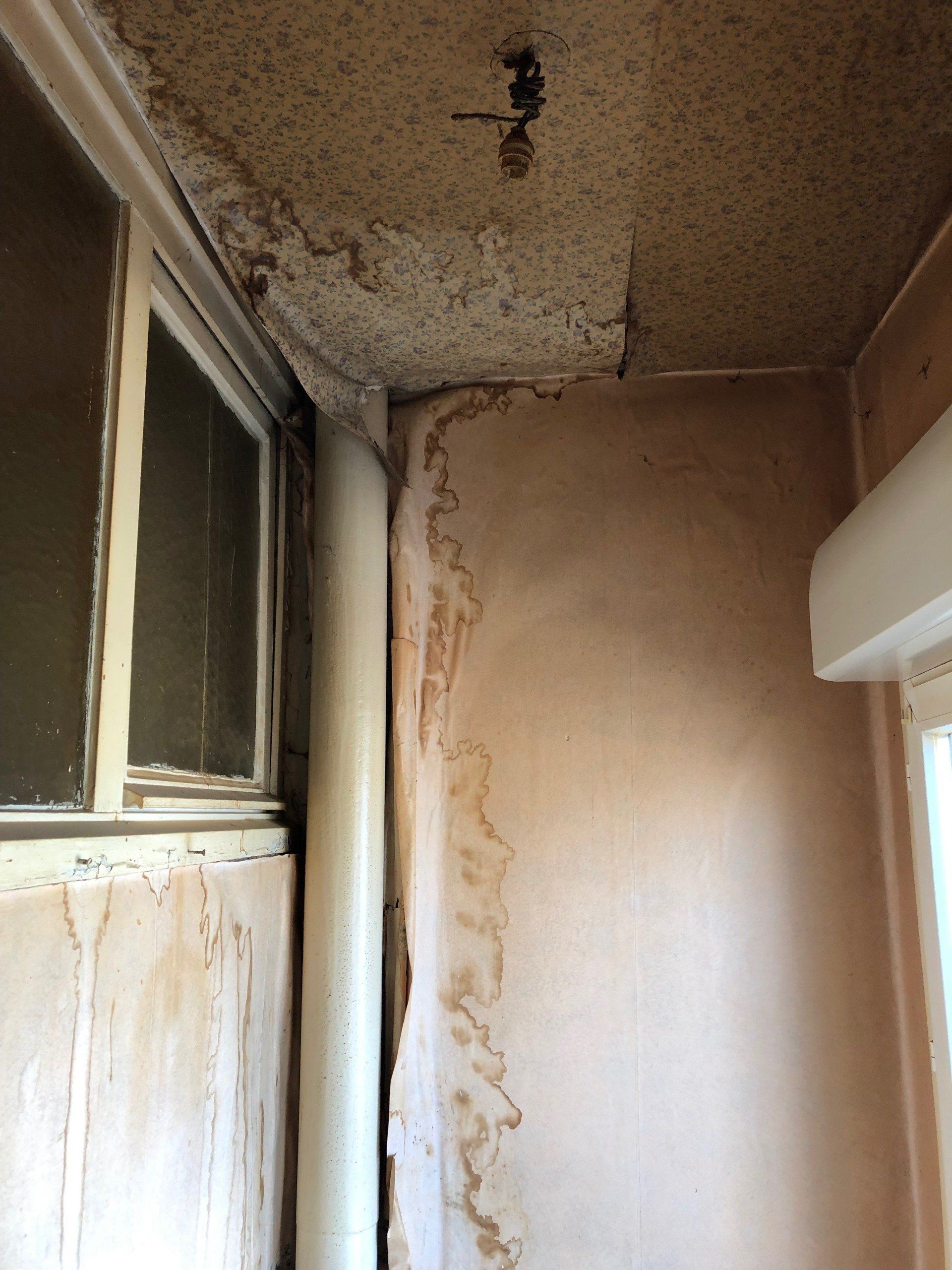 Travaux de peinture AVANT