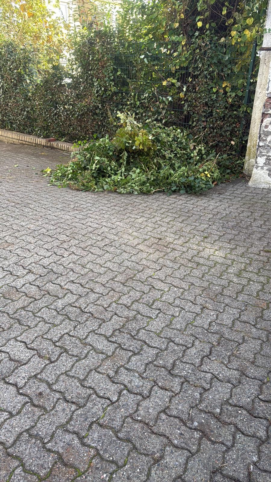 Ein Haufen grüner, abgeschnittener Äste auf einer gepflasterten Auffahrt, in der Nähe einer grünen Hecke und einer Mauer.