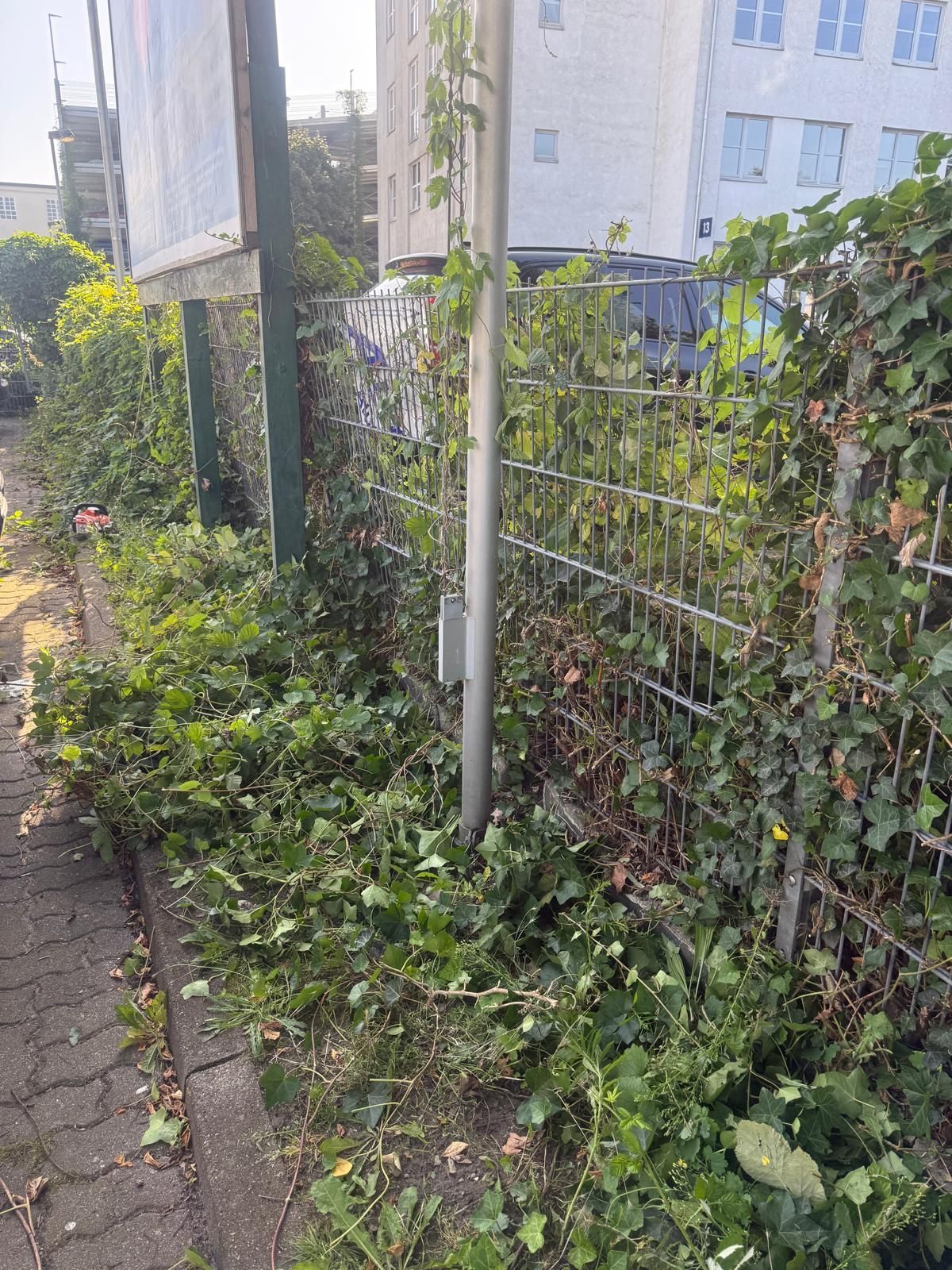 Entlang eines Gehwegs verläuft ein mit Unkraut bewachsener Zaun, durch dessen Metallzaun Vegetation wächst.