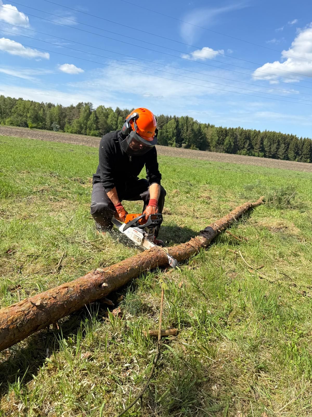 Eine Person in Schutzausrüstung benutzt eine Kettensäge, um einen Baumstamm auf einem grasbewachsenen Feld zu zersägen.