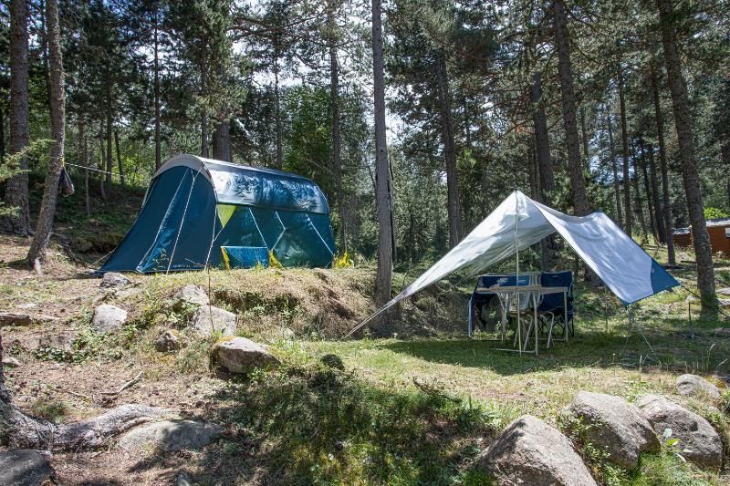 Emplacement de tente au milieu de la forêt 