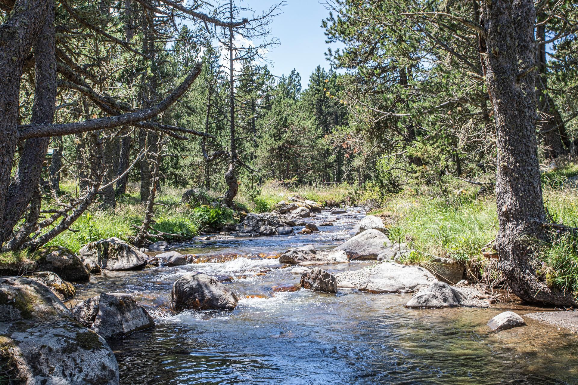 Le cours d'eau du camping de la Deveze