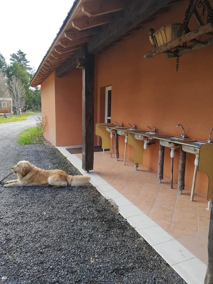 L'intérieur d'un chalet mobile tout équipé