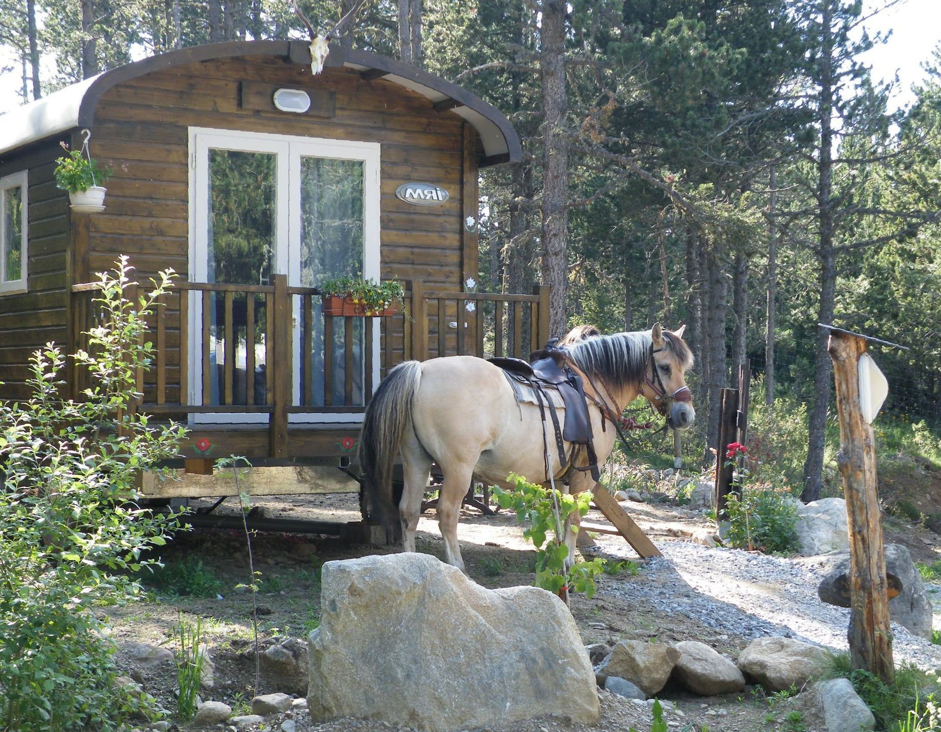 Cheval devant une roulotte