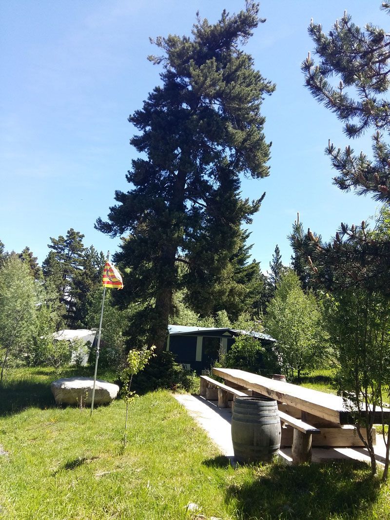 Coin barbecue camping la Deveze