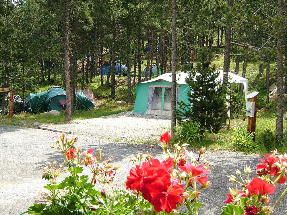 Une tente de camping dans la nature