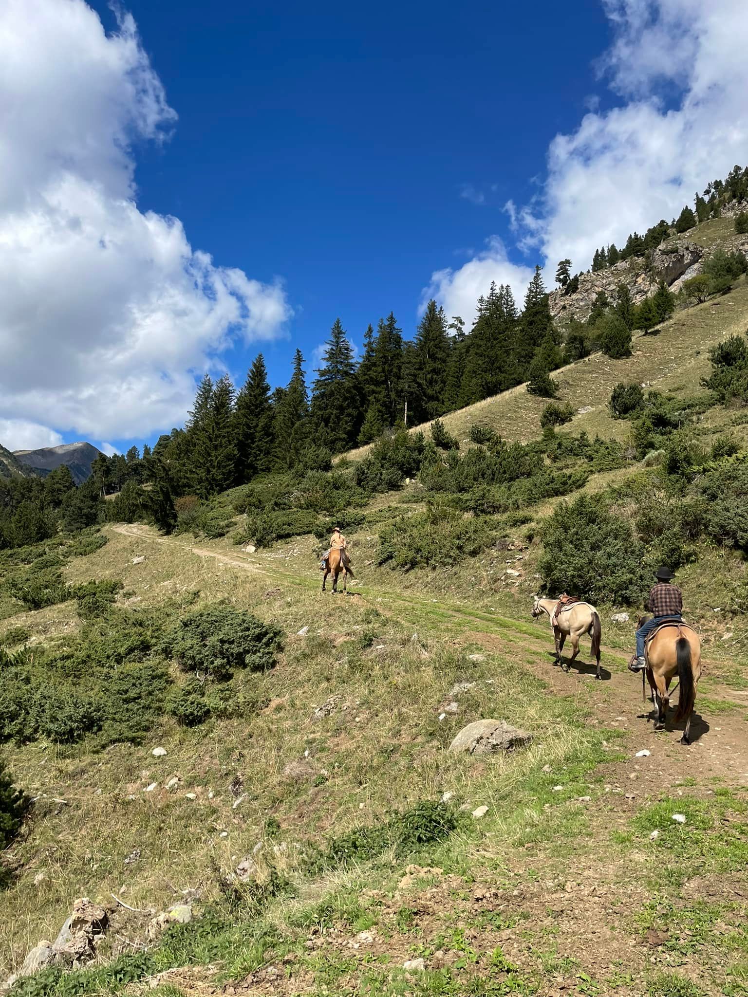 Des gens sur des chevaux en balade dans la nature