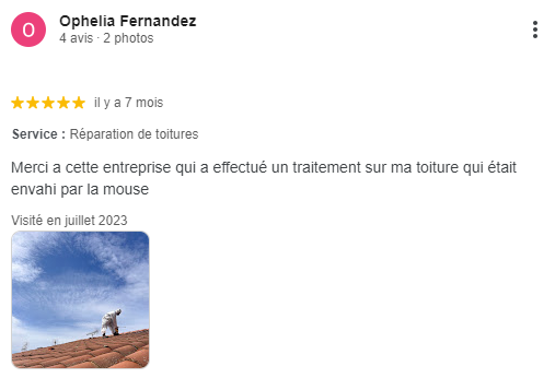 Avis Ophélia Fernandez