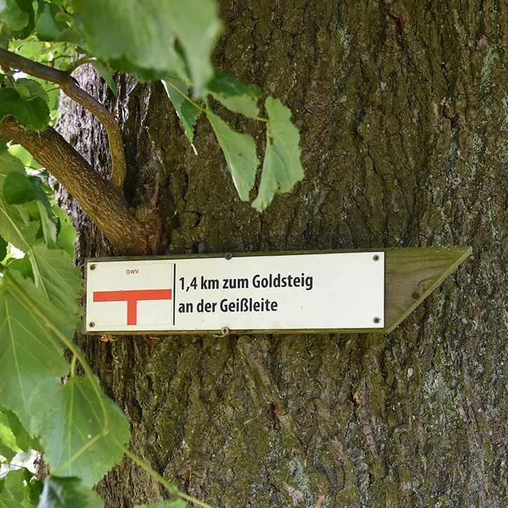 Robert Nickl Gasthof - Pension Sparrer-Wirt, Weiden, Theisseil, Ortsteil Letzau, Ferienwohnung, Fremdenzimmer, Ausflugslokale, Biergarten, Familienfeiern, Gartenrestaurant, Gasthaus, Gaststätten, Goldsteigwanderweg, Restaurant