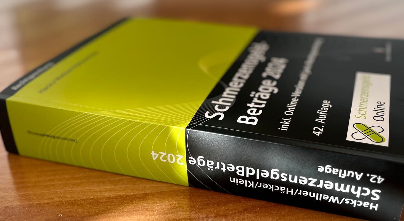 Ein blaues Buch mit dem Wort Verkehrsrecht darauf