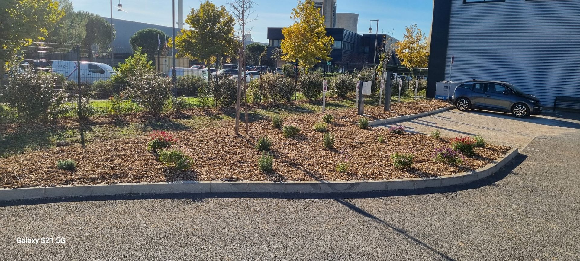 Plantation de massif, Gardanne