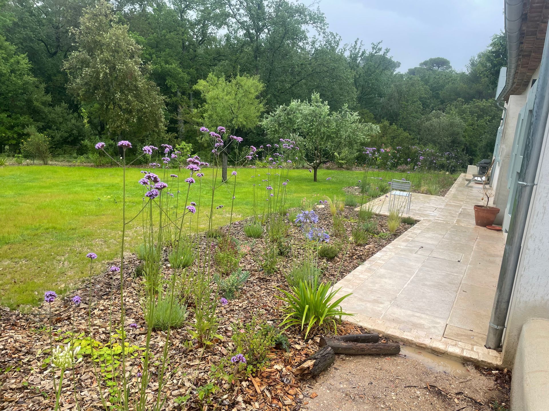 Pelouse verdoyante avec palmiers et autres plantes sous un ciel bleu éclatant. Des pierres blanches bordent la pelouse.