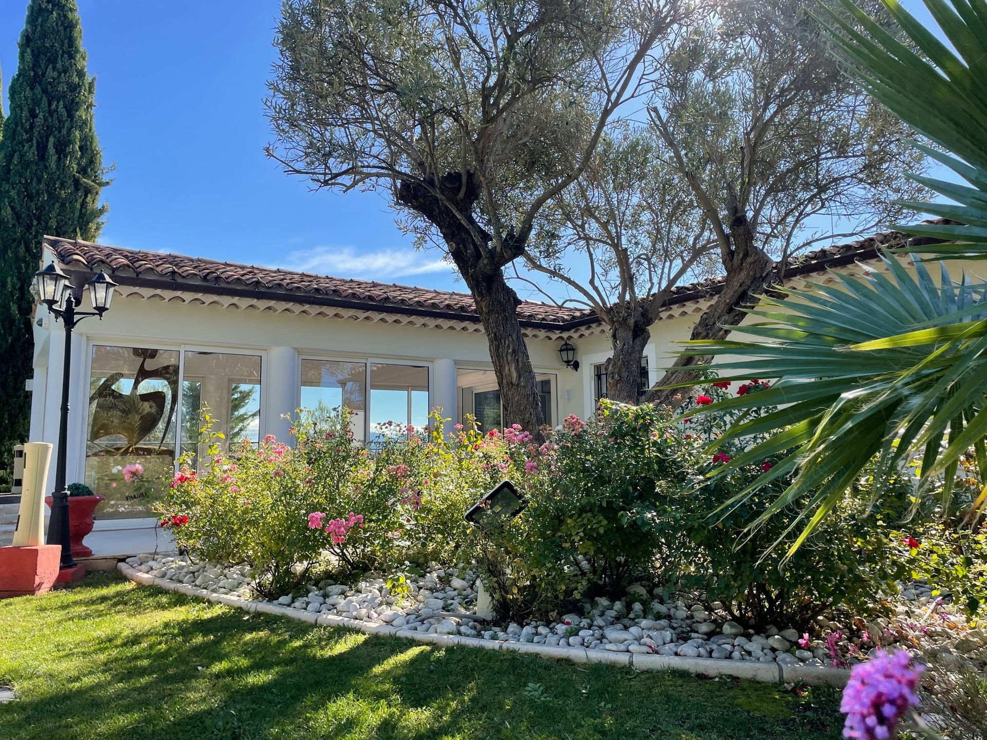 Un jardin avec un bâtiment, des arbres matures et des roses roses sous un ciel bleu clair.