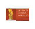 logotipo cabecera