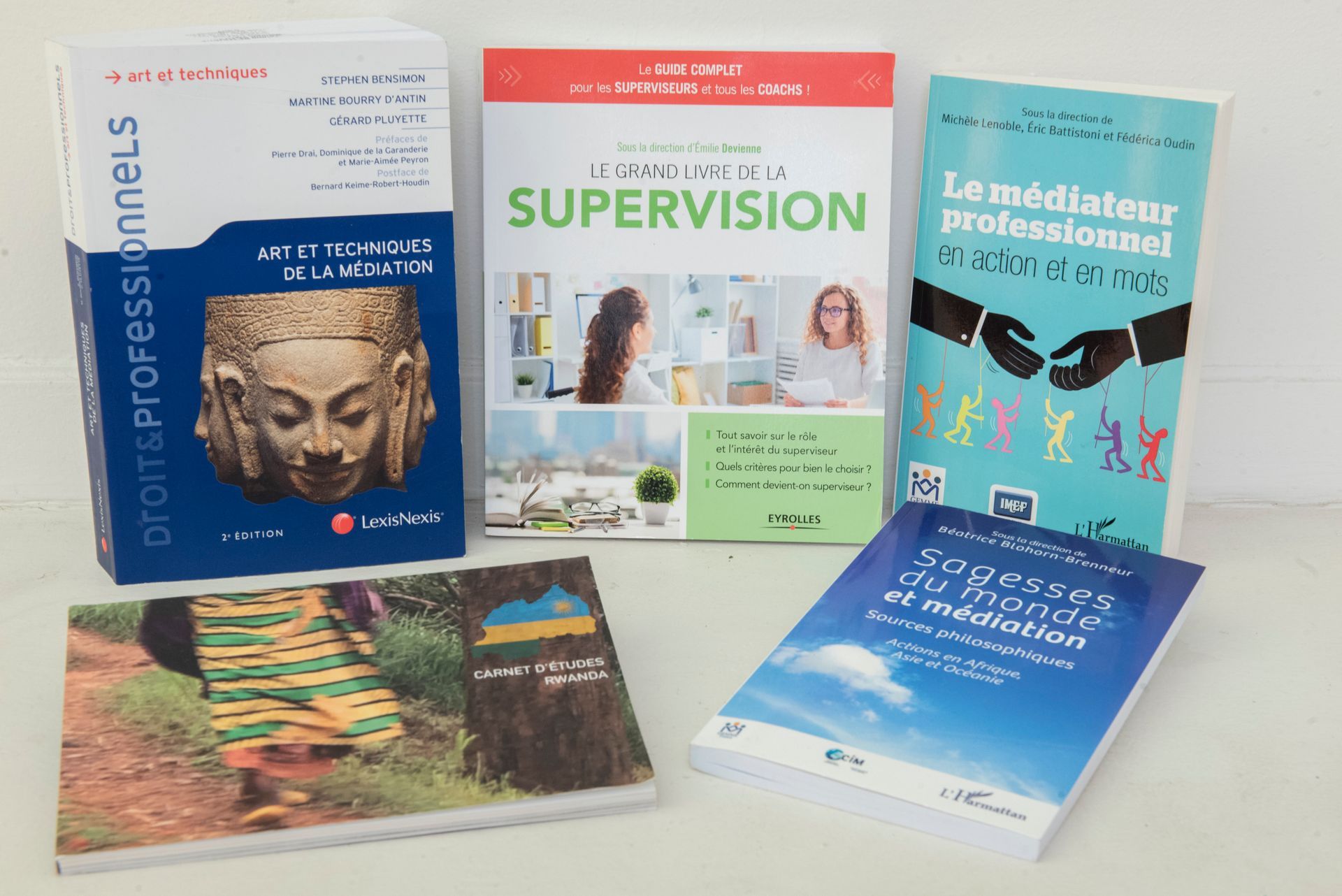 Manuels et guides en français de différents styles, présentés debout et empilés sur une surface claire.