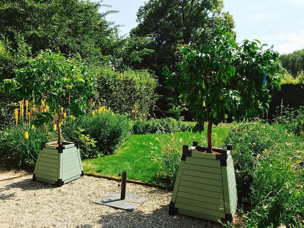 Agrumes et plantes en bacs - AB Jardin Sàrl