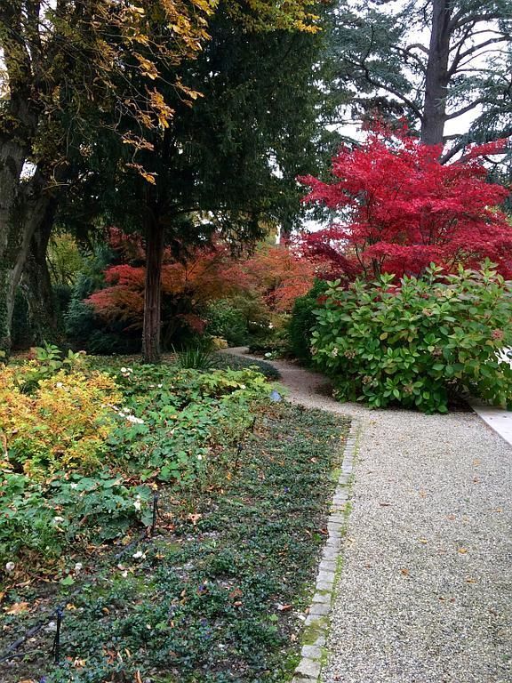 Couleurs automnales - AB Jardin Sàrl