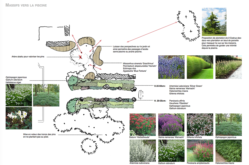 Croquis d'intentions - AB Jardin Sàrl
