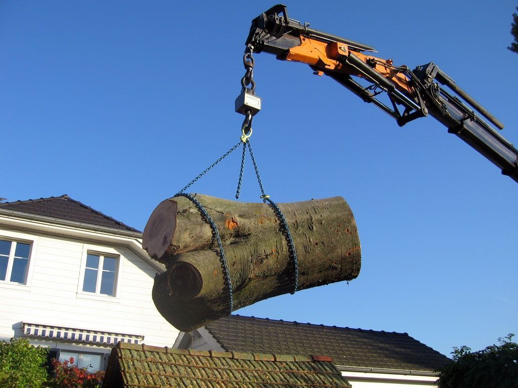 Demande d'autorisation d'abattage et suivi des valeurs compensatoires