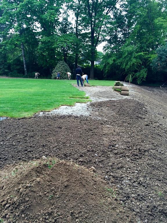 Lawn turf (rolls) or newly sown - AB Jardin Sarl