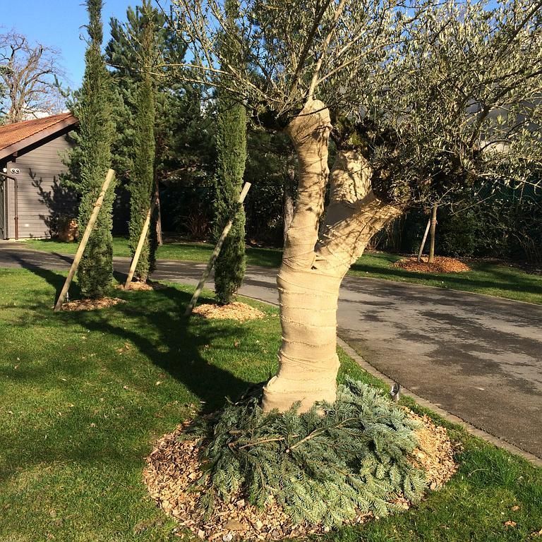 Hivernage - AB Jardin Sàrl