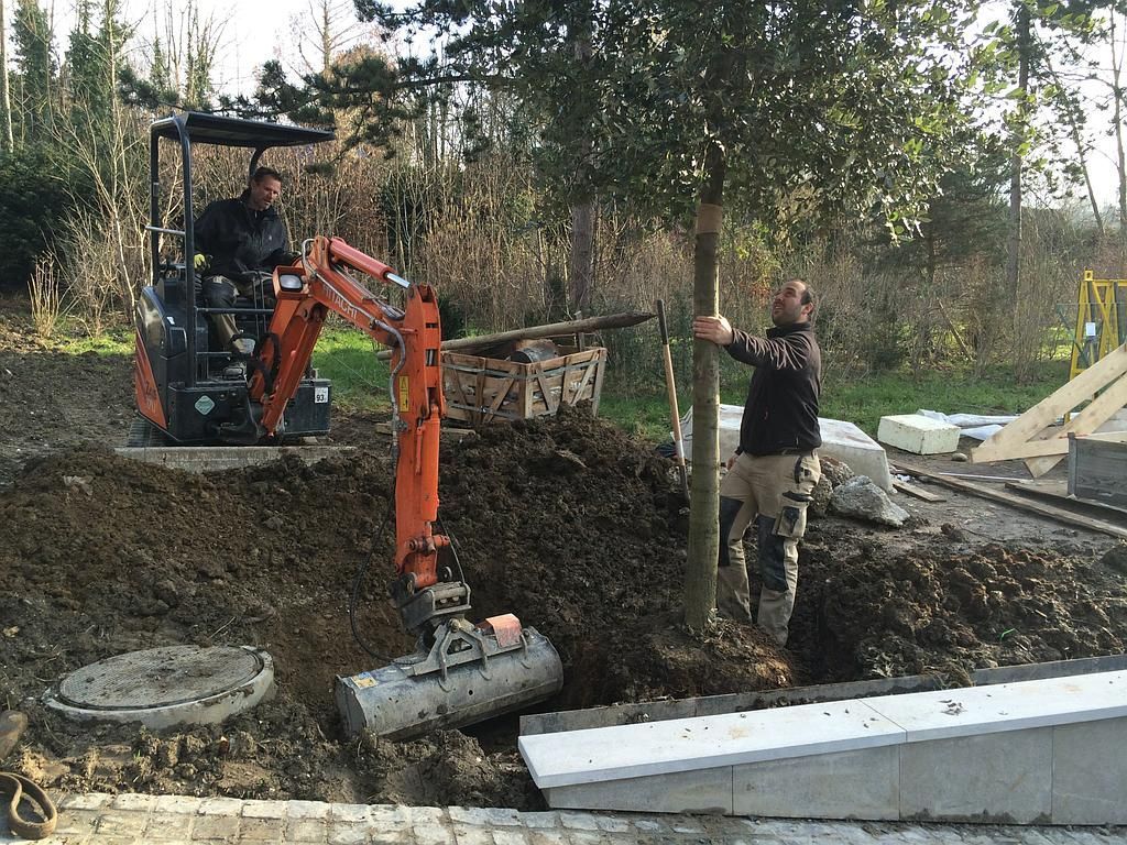 Shrub plantings - AB Jardin Sarl