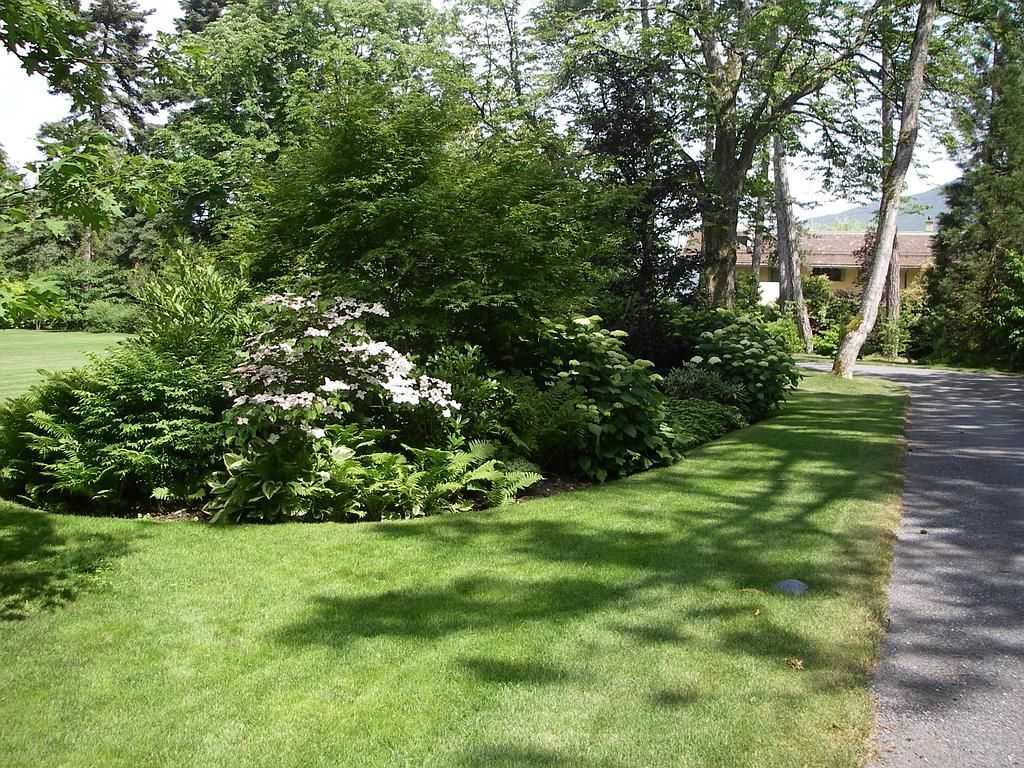 Soins aux arbustes et aux arbres - AB Jardin Sàrl