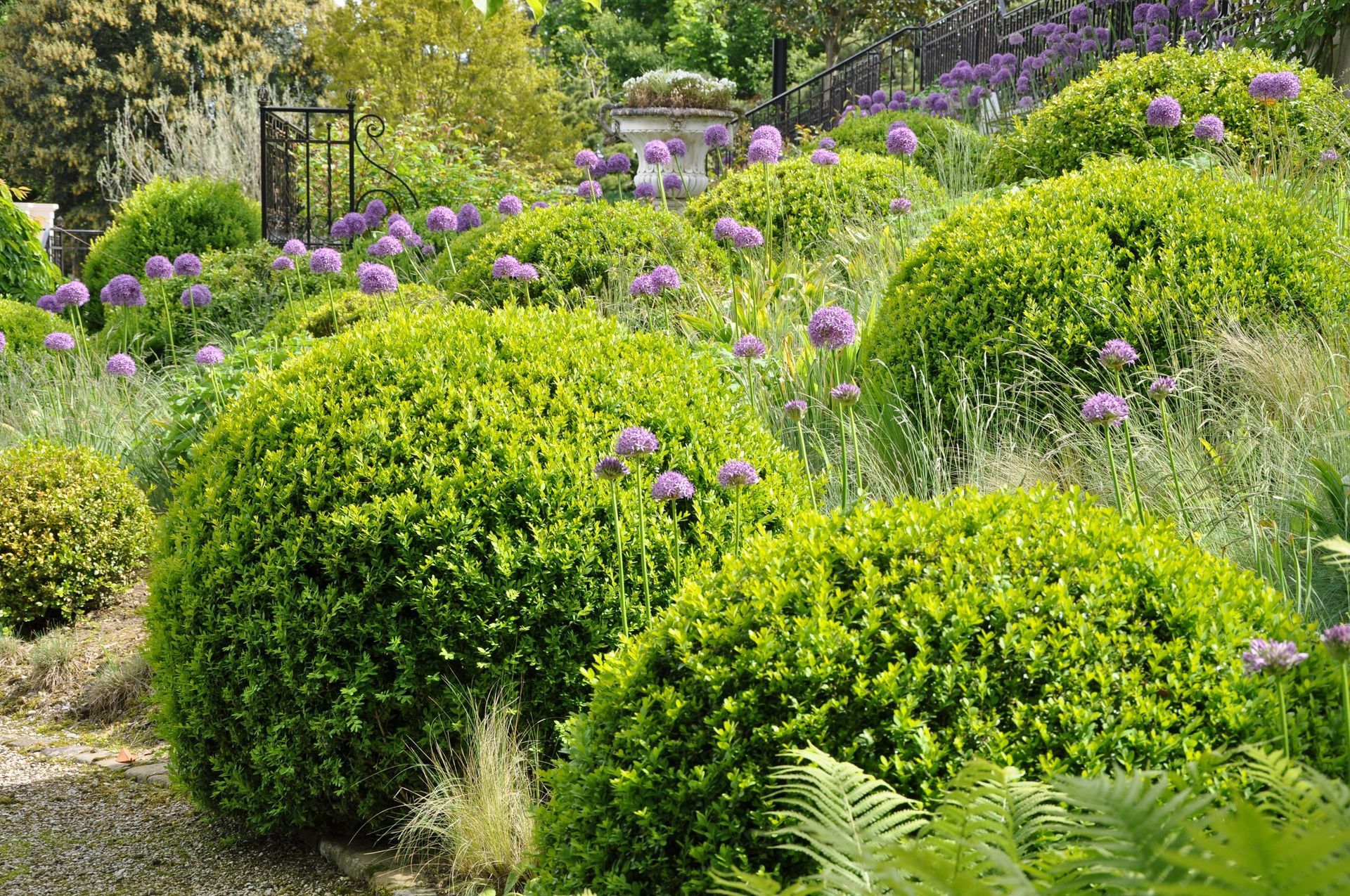 Soins aux arbustes et aux arbres - AB Jardin Sàrl