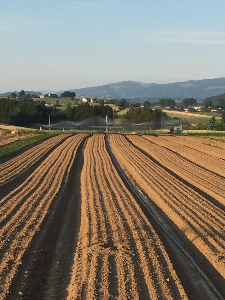 agriculture - Les Jardin du Closy