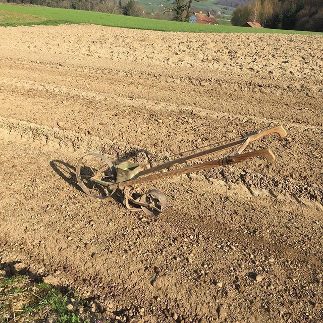 céréales - Les Jardin du Closy