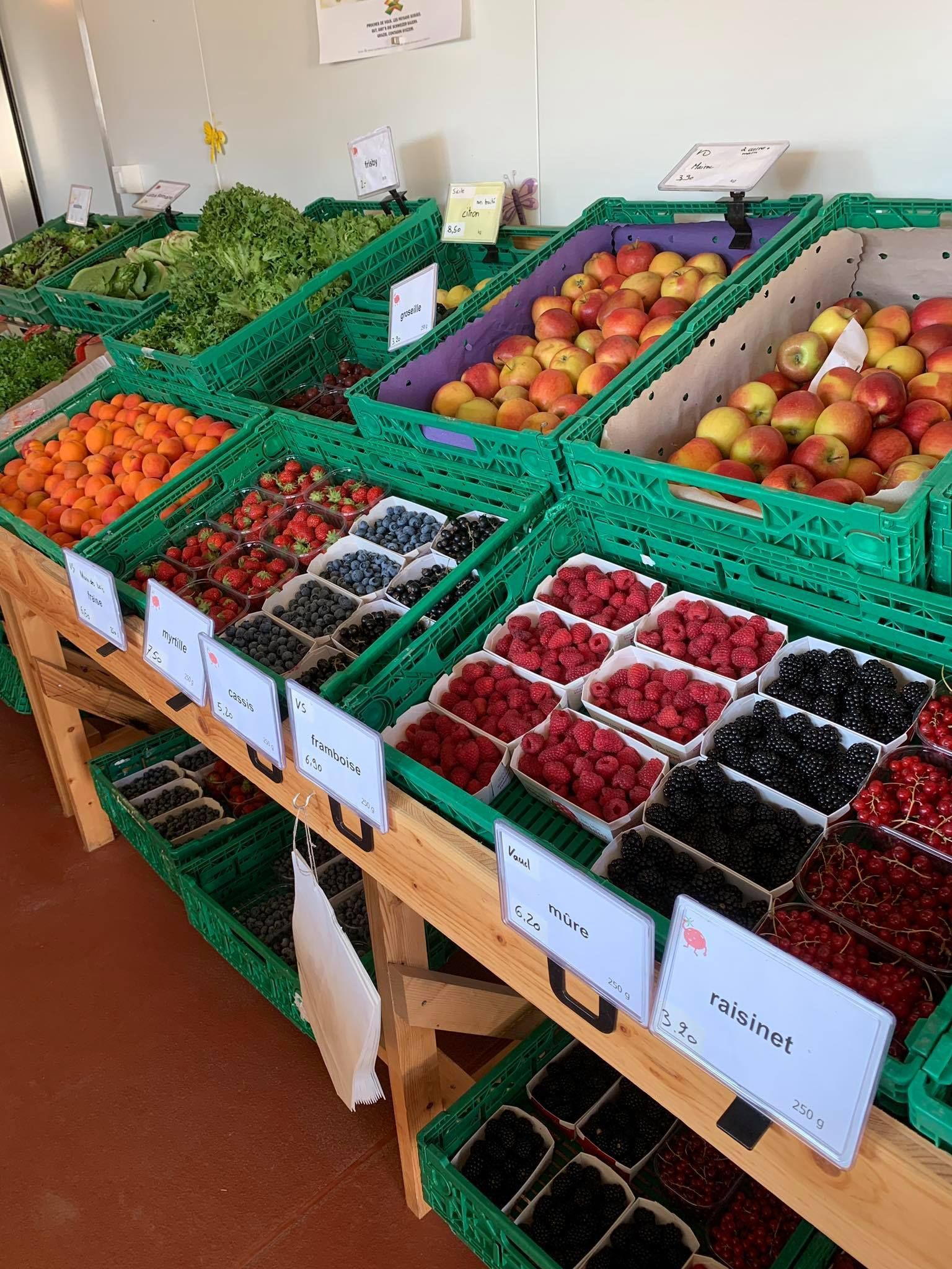 légumes d'antan - Les Jardins du Closy