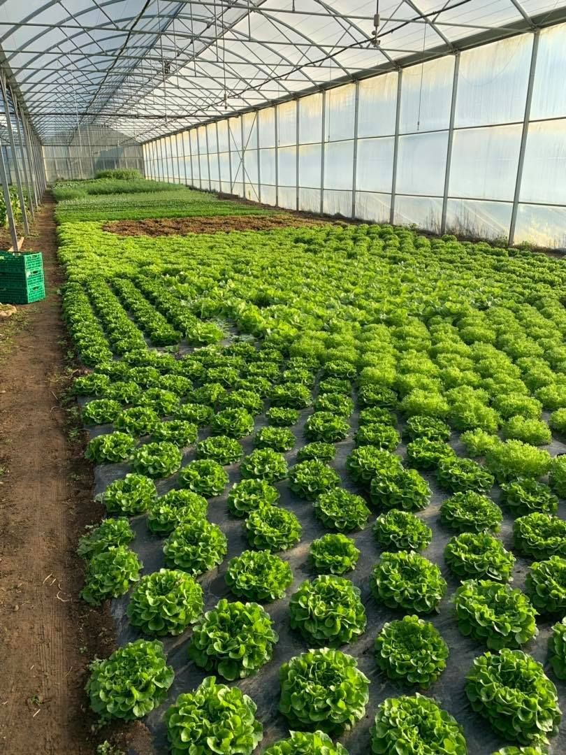 agriculture biologique - Les Jardins du Closy