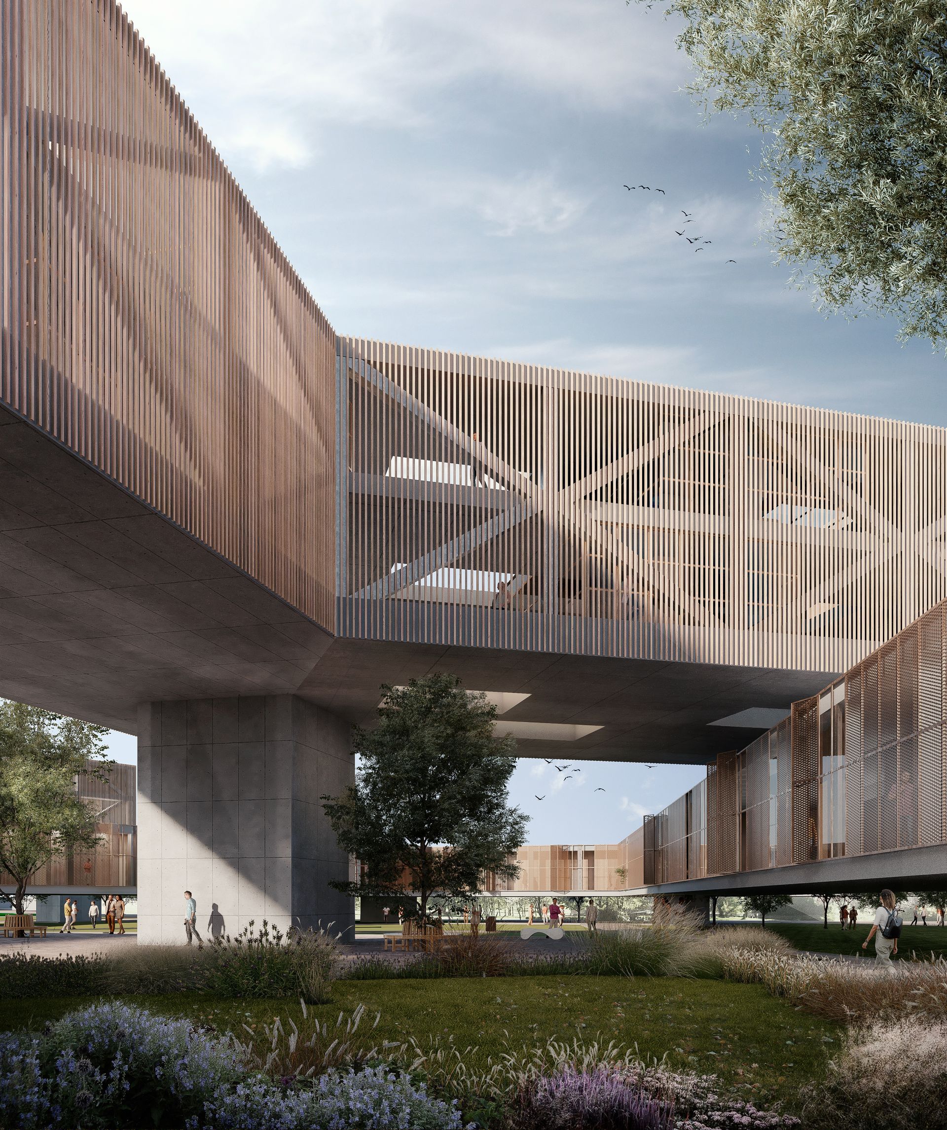 Edificio moderno con listones de madera que conectan un espacio ajardinado central.