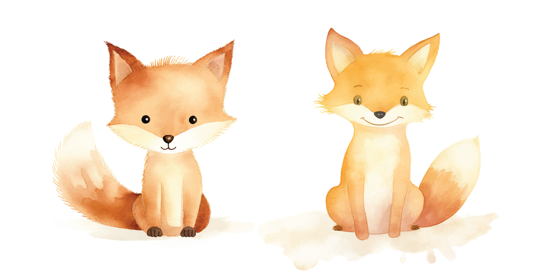 Deux renards assis côte à côte, l'un roux et l'autre beige clair, sur fond blanc.
