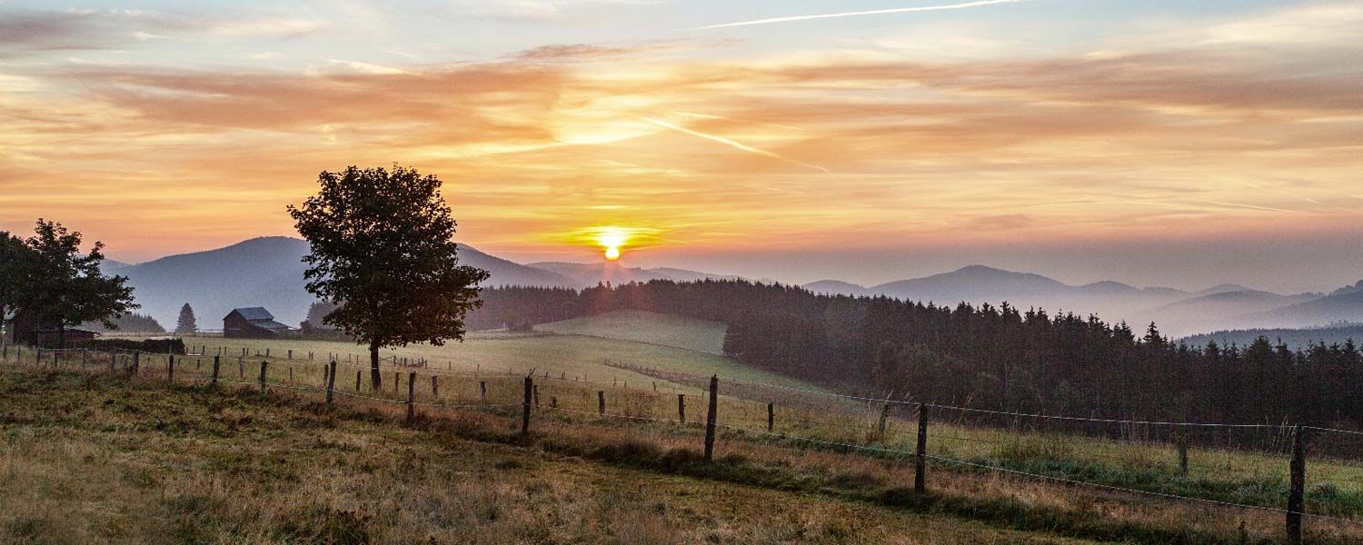Die Sonne geht über einem Feld mit Bäumen und Bergen im Hintergrund unter.